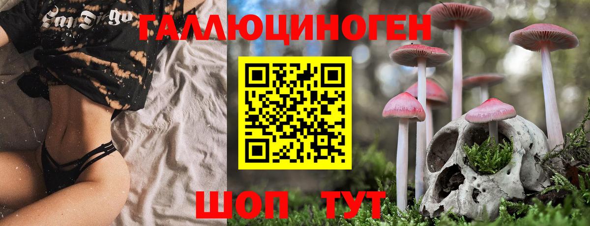 Псилоцибиновые грибы Magic Shrooms Сызрань