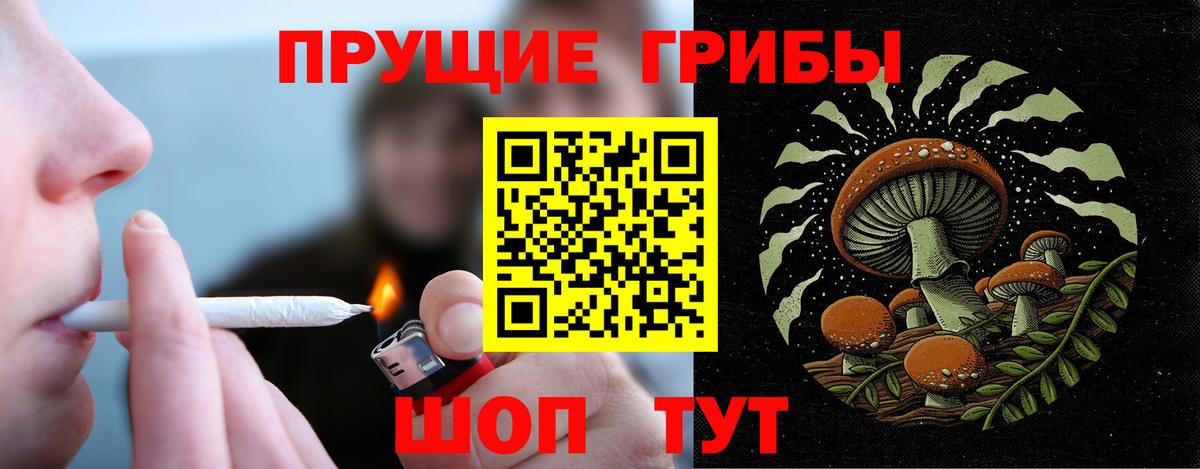 Галлюциногенные грибы мухоморы  Псилоцибиновые грибы MAGIC MUSHROOMS  Сызрань  Вход с VPN 